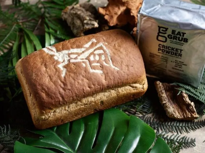 Alternative proteins are often incorporated into familiar foods, like this cricket bread. Credit: Roberts Bakery