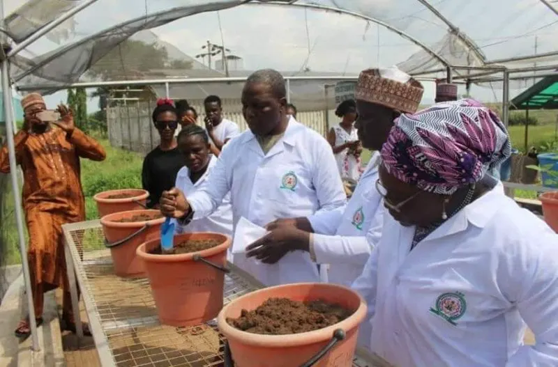 Prof. Mustapha planting herbicide tolerant soybeans. Credit: NABDA