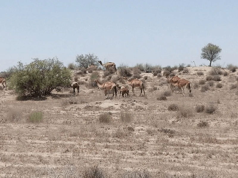 png drought desert Credit: Mueen78 via CC-BY-SA-4.0