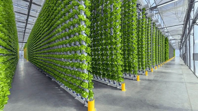 eden green vertical farm facility eden green vertical farm facility