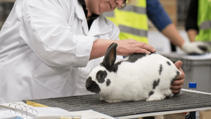 Credit: Heikki Siltala/World Animal Foundation (CC BY 3.0)