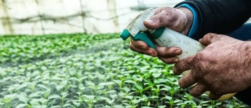 Credit: Permaculture Research Institute