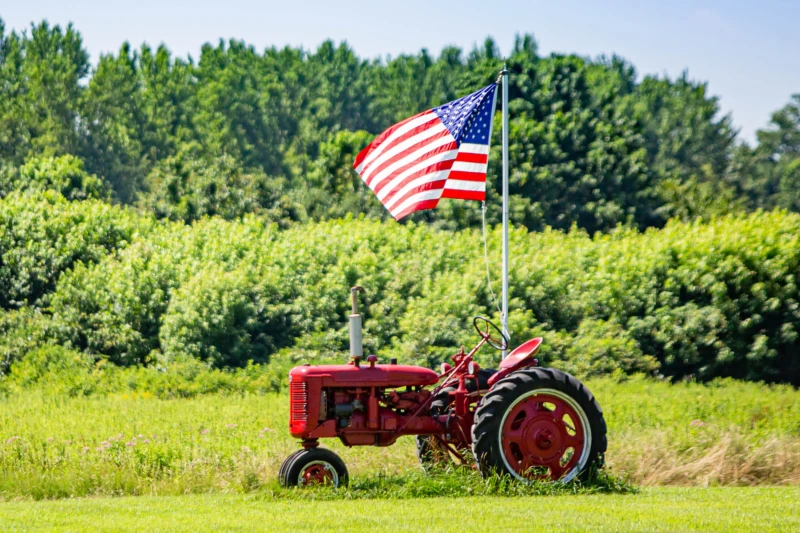 Americans spend 5 percent of their disposable income on groceries, compared to 8.7 percent in Ireland (the lowest in the EU), 10.8 percent in Germany, 12 percent in Sweden, 17 percent in Hungary and 25 percent in Romania. Credit: Big Stock