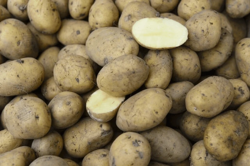 web potatoes ver