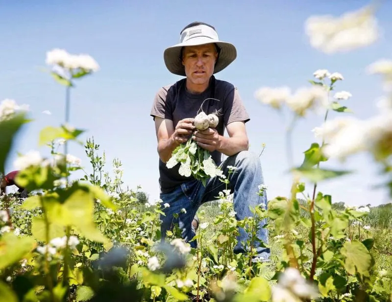 Credit: Charlie Neibergall/AP