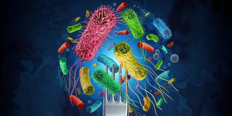 Foodborne Pathogens.jpg Foodborne Pathogens.jpg