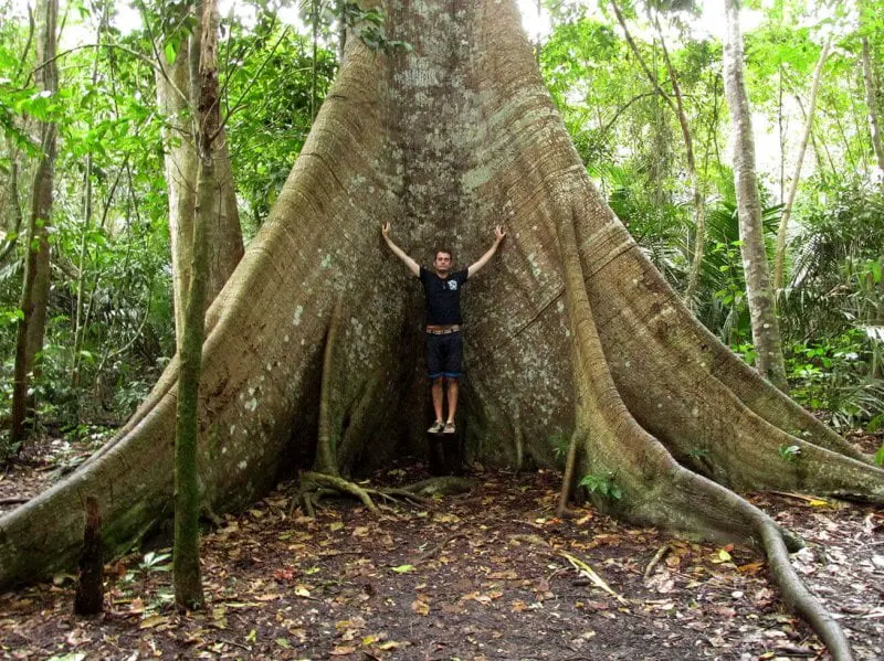 “Our belief is that climate change is a problem of relative rates. And also it’s one that we can’t just solve with man-made, intensely managed human processes like direct air capture,” Credit: Milos Mitrovic