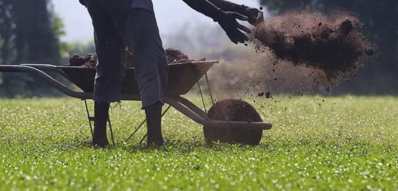 A Sri Lankan farmer applies fertilizer in Horana South. Fertilizer is back on the market, but what farmer can afford it? Credit: Lakruwan Wannitarachchi