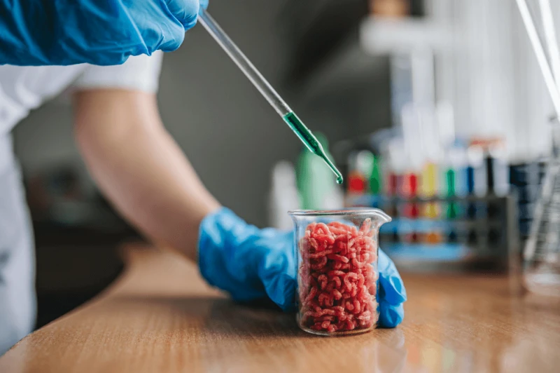 cult meat lab grow cell based Credit: Ivan Radic via CC-BY-2.0