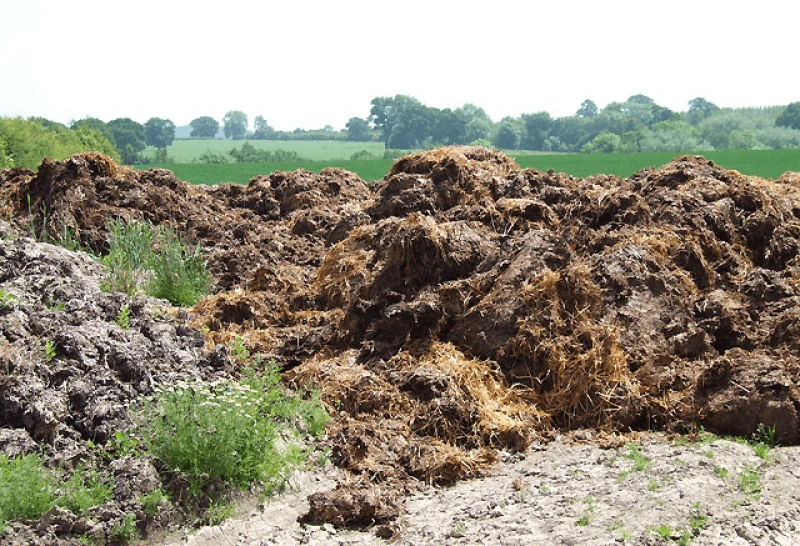 Manure_pile_in_Much_Wenlock_2C_Shropshire_2C_England Manure_pile_in_Much_Wenlock_2C_Shropshire_2C_England