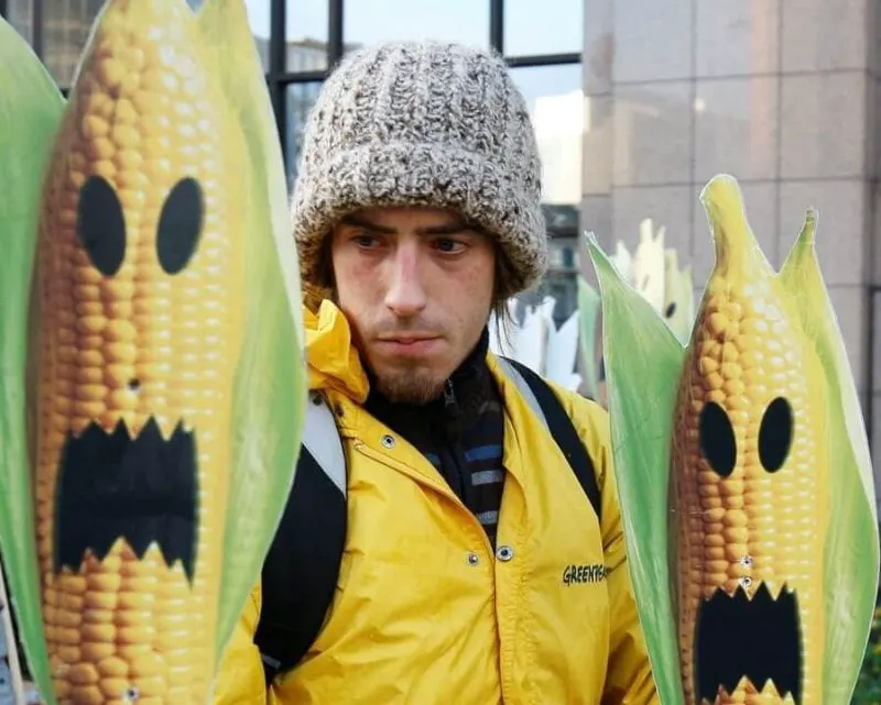 Greenpeace anti-GMO activist in Belgium. Credit: Thierry Roge