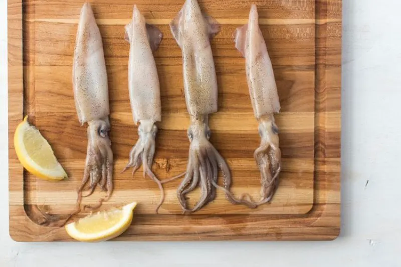 calamari_1806999-2-e8a531d5915e49719d5b049fd6fa00a1