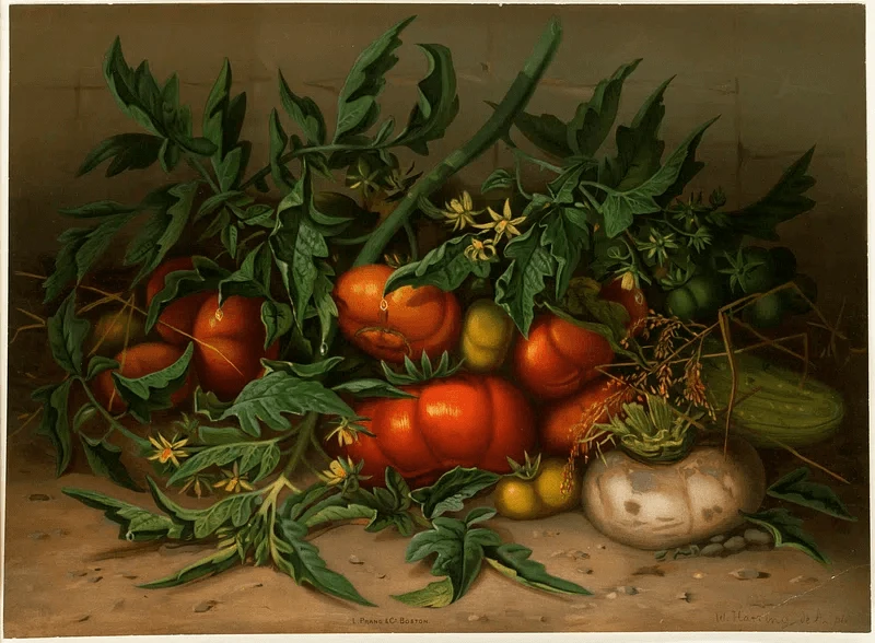 chjpdmf zs sci pbwfnzxmvd vic l zs ymdiylteyl xyl rpz l ywxjd nvbw vbndlywx aho otbyedyydc pbwfnzs qcgc