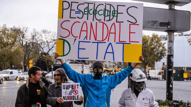 pesticides france x