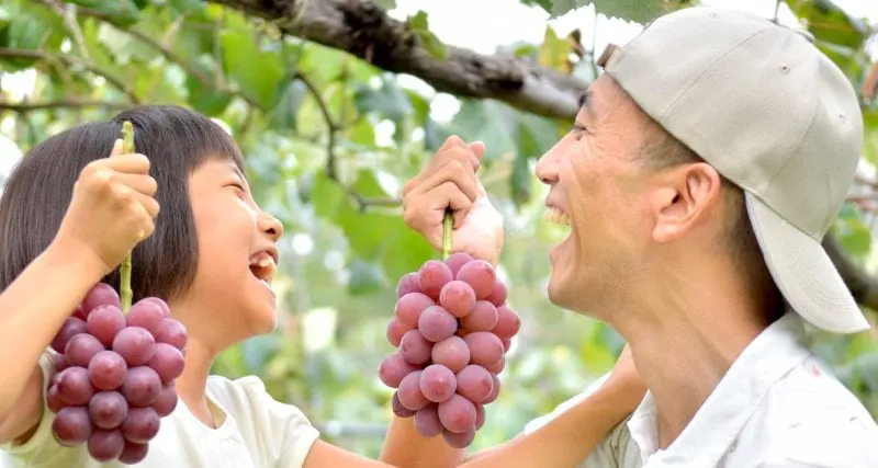 Credit: Teppei Ogawa via Getty Images