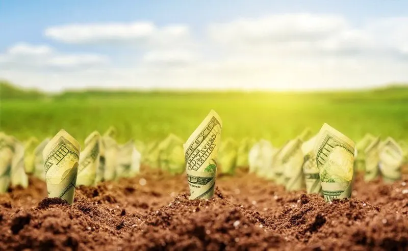 Credit: Foundation for Economic Education