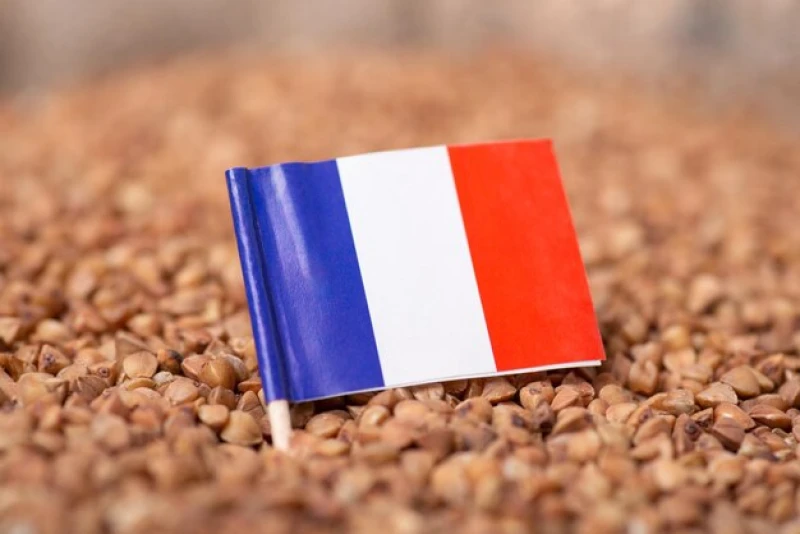 flag france buckwheat porridge flag france buckwheat porridge