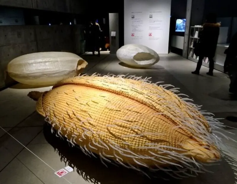 An artist's scaled up depiction of rice grains titled: "My name is Rice". Credit: Robbie Swinnerton