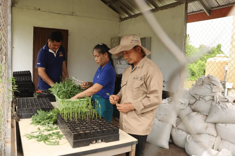 el lado invisible de la ciencia protegiendo los cultivos mediante de la nanotecnologia alianza bioversity international ciat el lado invisible de la ciencia protegiendo los cultivos mediante de la nanotecnologia alianza bioversity international ciat