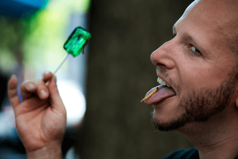 Brendan “Twig” Sheppard eats a roasted mealworm at a charity event in D.C. in 2014. Credit: Linda Davidson/The Washington Post