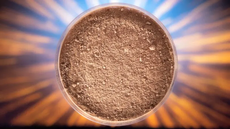 'Proton' protein made into fish food. Credit: BioMar
