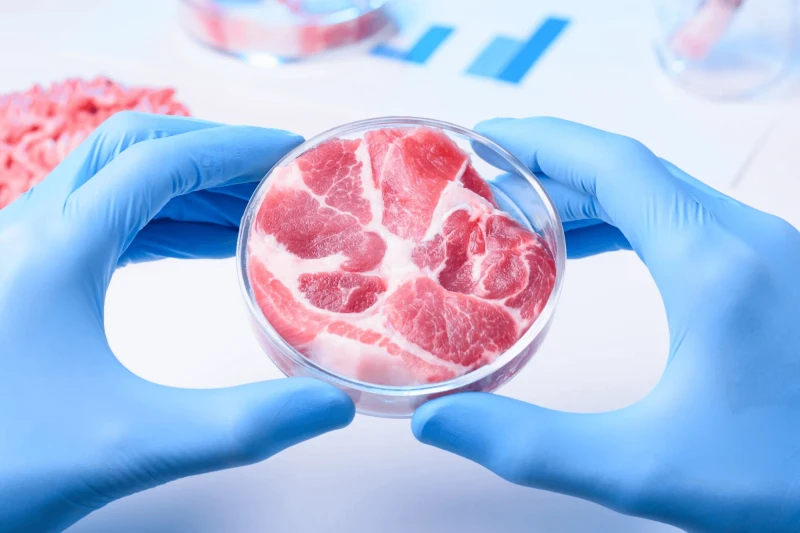 Cultivated-Meat-1 A new study introduces a continuous manufacturing method for cultivated meat that significantly lowers costs and enhances scalability, making it a viable and sustainable alternative to conventional meat and promising major advancements in global food security and sustainability.