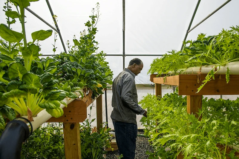 fl public image fl public image