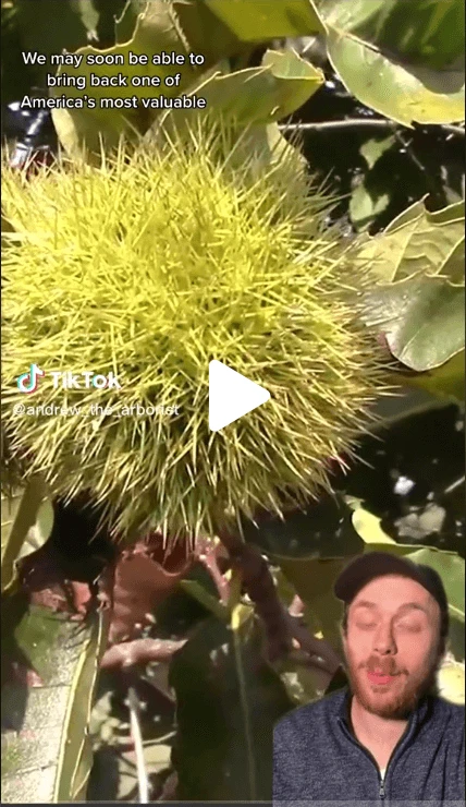 screenshot am