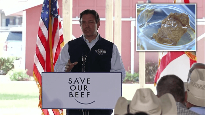 static.fox13news (1) Ron DeSantis. Credit: Fox News