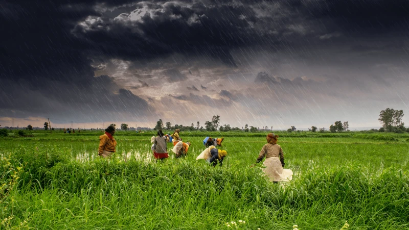 agriculture and rural farms of india agriculture and rural farms of india