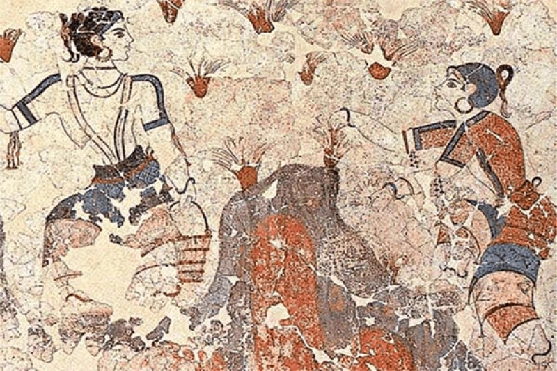 A detail of the "Saffron Gatherers" fresco from the "Xeste 3" building. The fresco is one of many dealing with saffron that were found at the ancient Minoan settlement of Akrotiri, Santorini. Credit: Frescoes