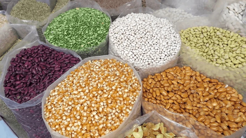 grain corn beans seed