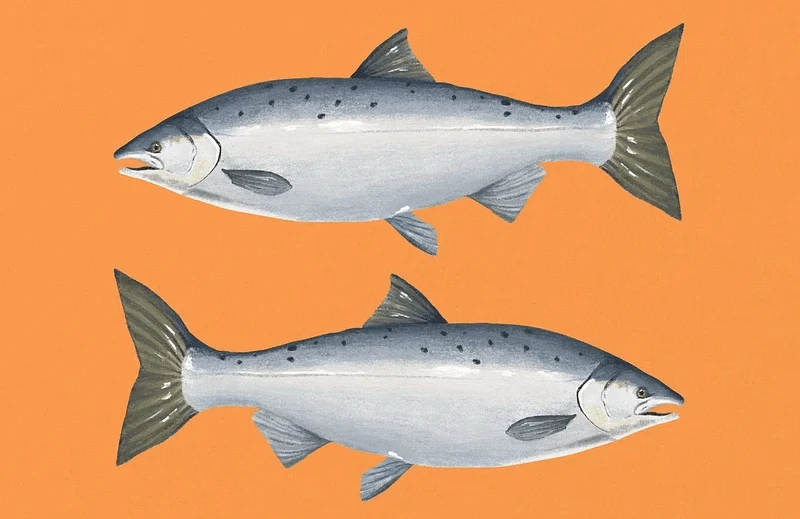 Credit: Rawpixel (Public Domain)