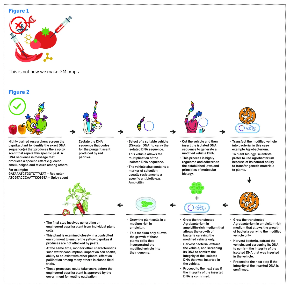 infographic x