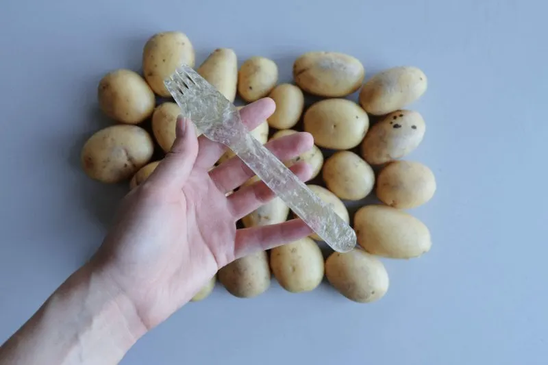Bioplastics may be the future of sustainable plastics. Credit: Lund University
