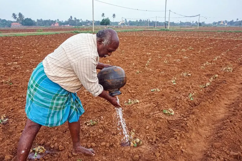 Sri Lankan farmer waters his crops. Credit: Vijayatharsiny Thinesh