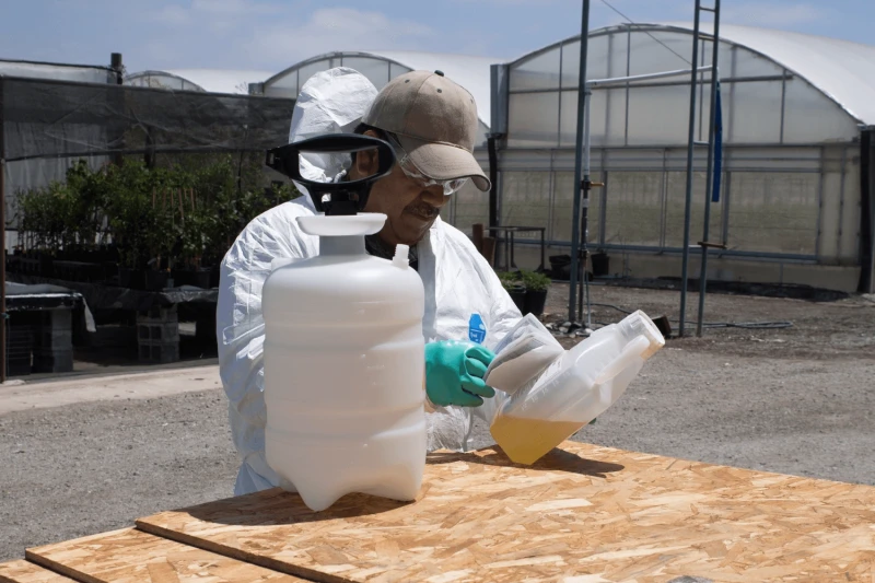 Like Roundup, paraquat is a widely used herbicide in the United States. Unlike glyphosate, paraquat is a restricted-use pesticide and may only be applied by certified applicators. Credit: Tim McCabe via USDA