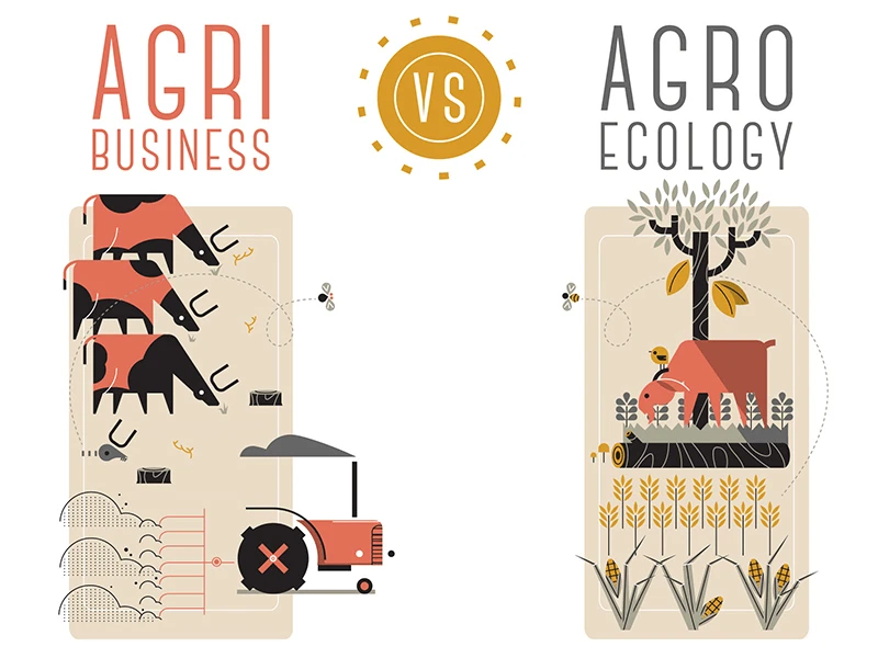 agribusiness vs agroecology