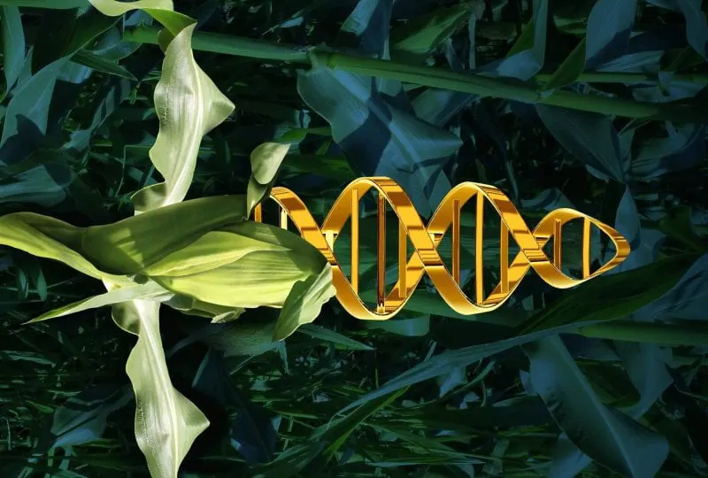 Credit: SciTechDaily