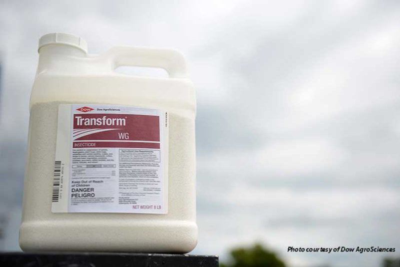 Credit: Dow AgroSciences/Bee Culture