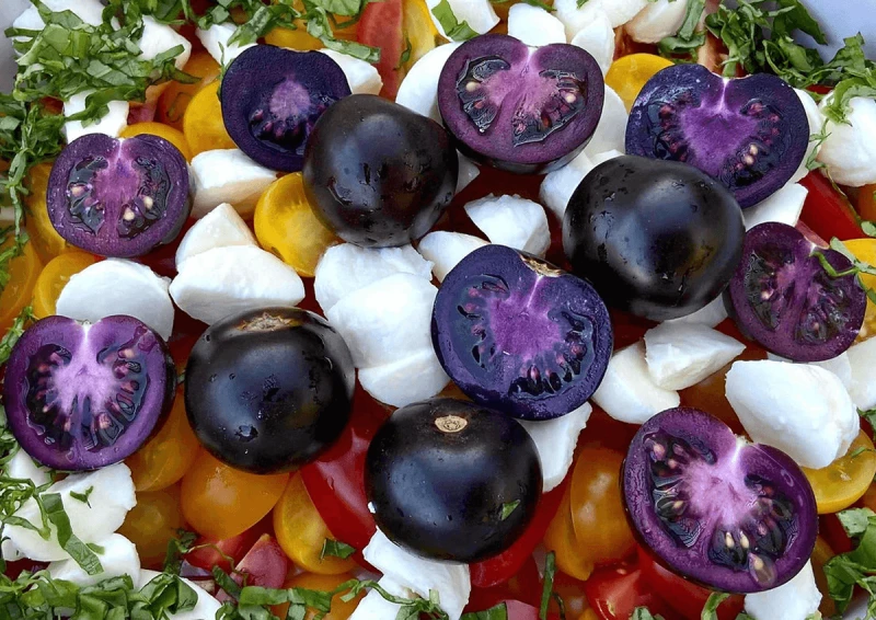 tomato tomato