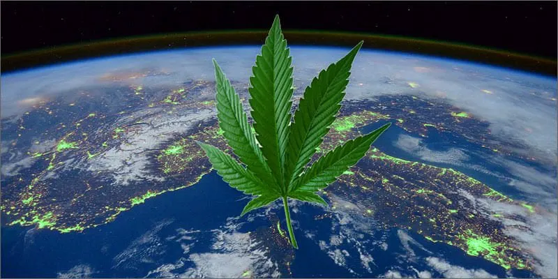 Credit: Terpenes and Testing