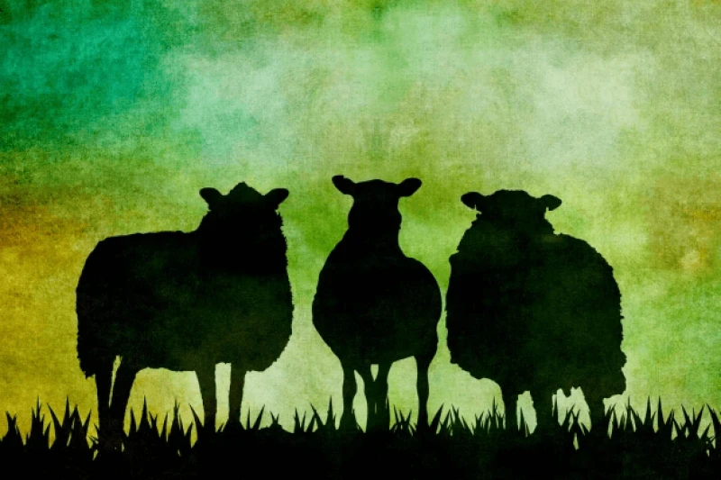 sheep silhouette vintage art sheep silhouette vintage art