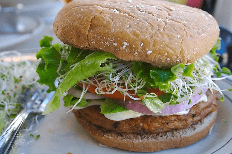 png cc veggie plant alt protein burger Credit: divinemisscopa via CC-BY-2.0