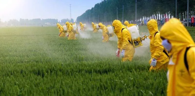 When the EPA was forced to post-hoc study glyphosate and atrazine they did so based on old data and imprecise models. Credit: Jinning Lee via Shutterstock