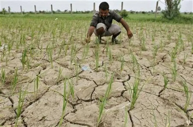 Credit: Amit Dave/Reuters