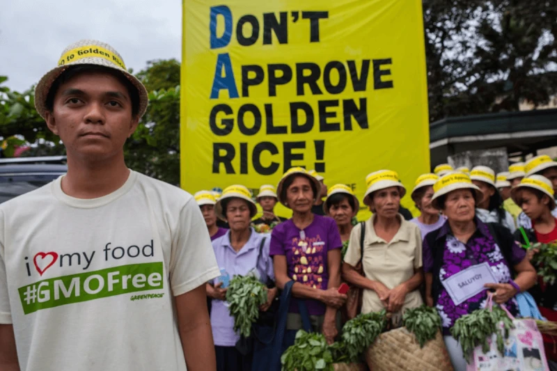 1def1b17-gp0stoa7q (1) Credit: Greenpeace