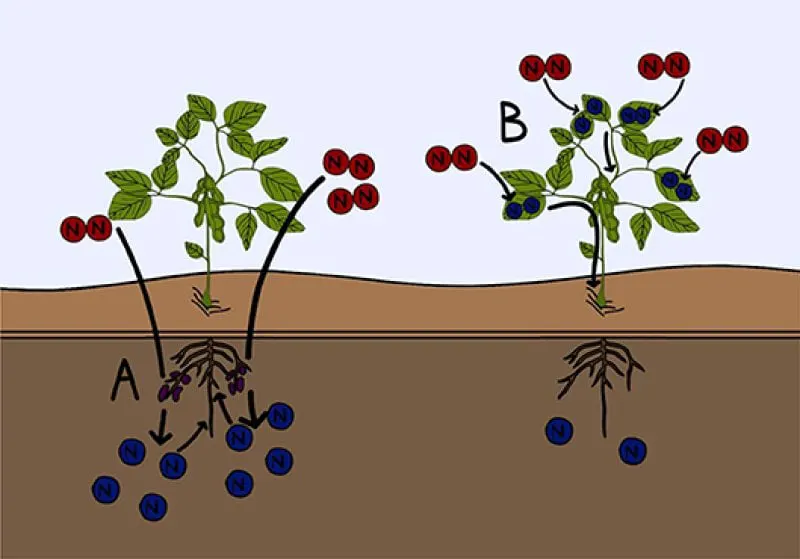 figure-3