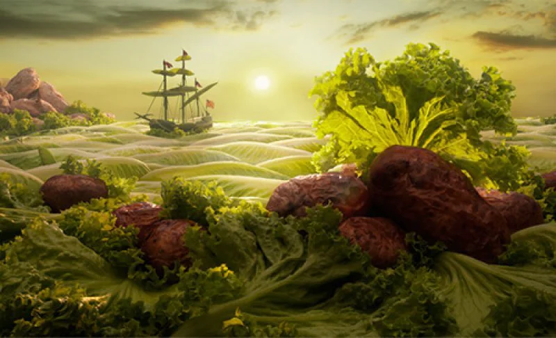 There is only so much land upon which to grow crops. Credit: Carl Warner