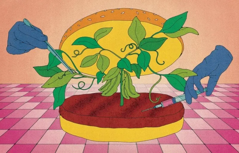 Plant based or cell based? Maybe both? Credit: Kate Dehler